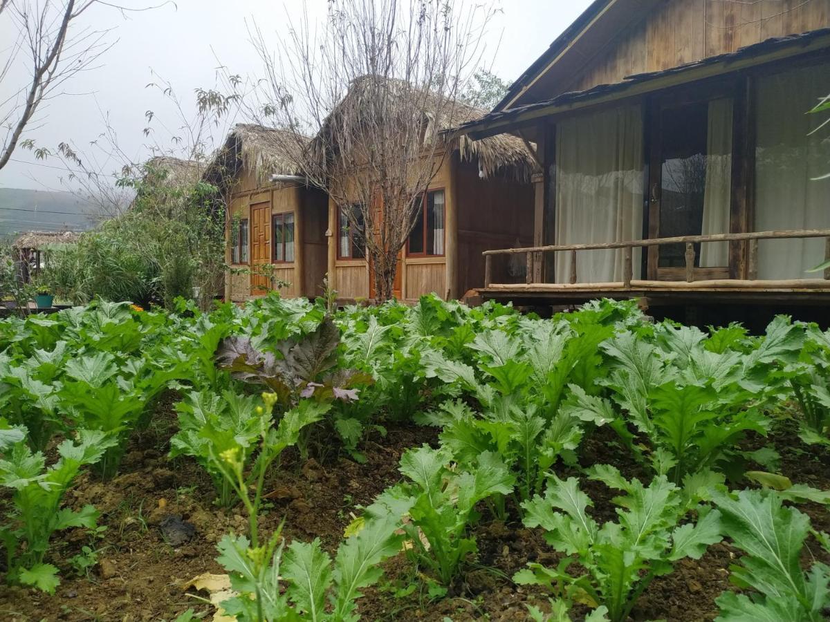 Anh Duc Homestay Sapa Exteriér fotografie