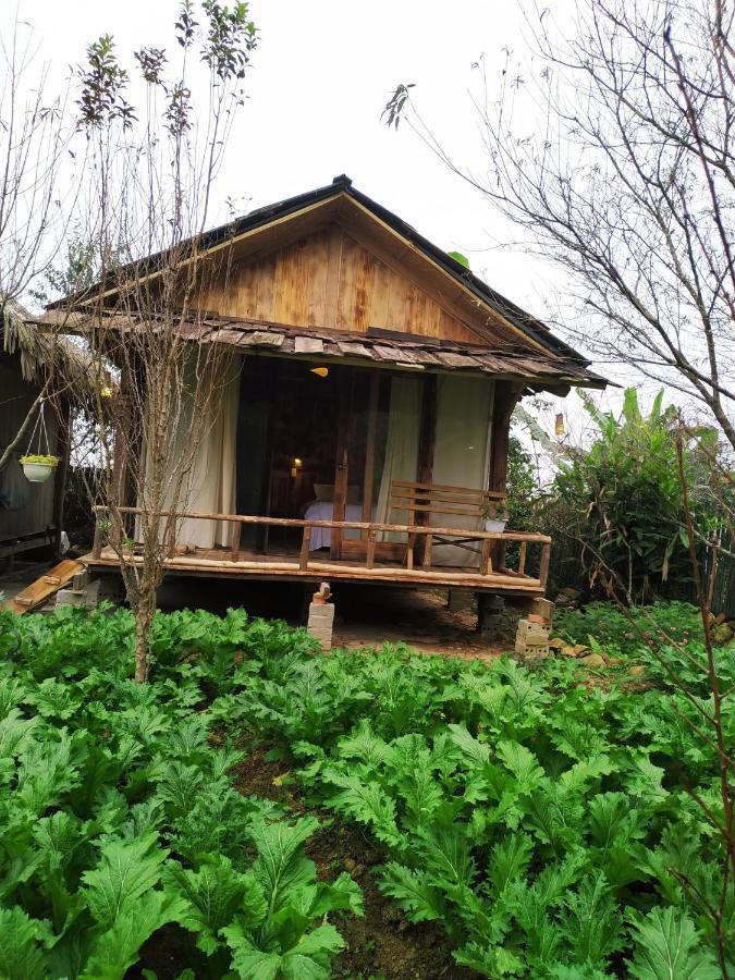 Anh Duc Homestay Sapa Exteriér fotografie